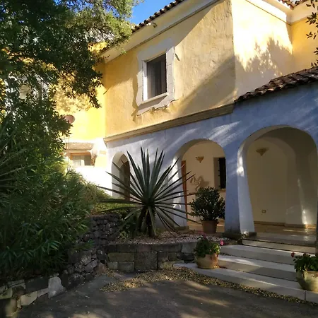 דירה Art House